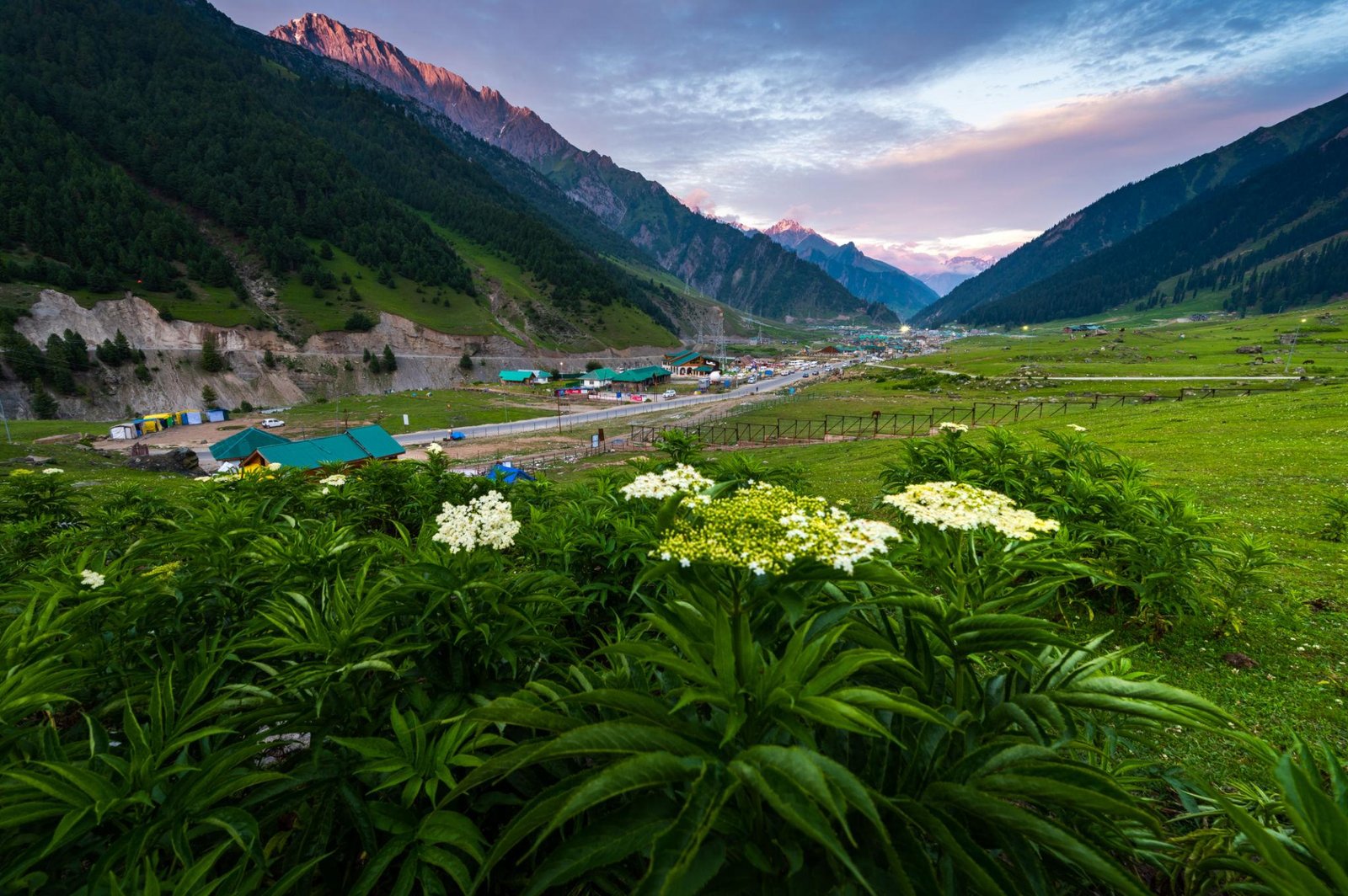 Day 3: Sonmarg Day Trip
