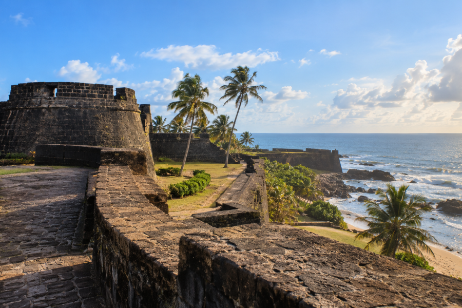 Kerala Tour Package – 4 Nights 5 Days | Wayanad, Kozhikode & Kannur